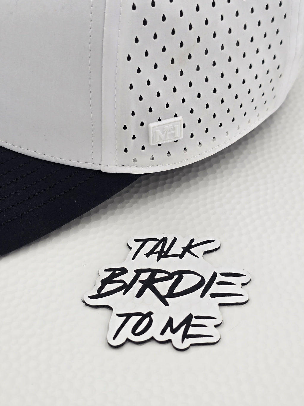 Polar Eclipse 6 Panel Talk Birdie To Me
