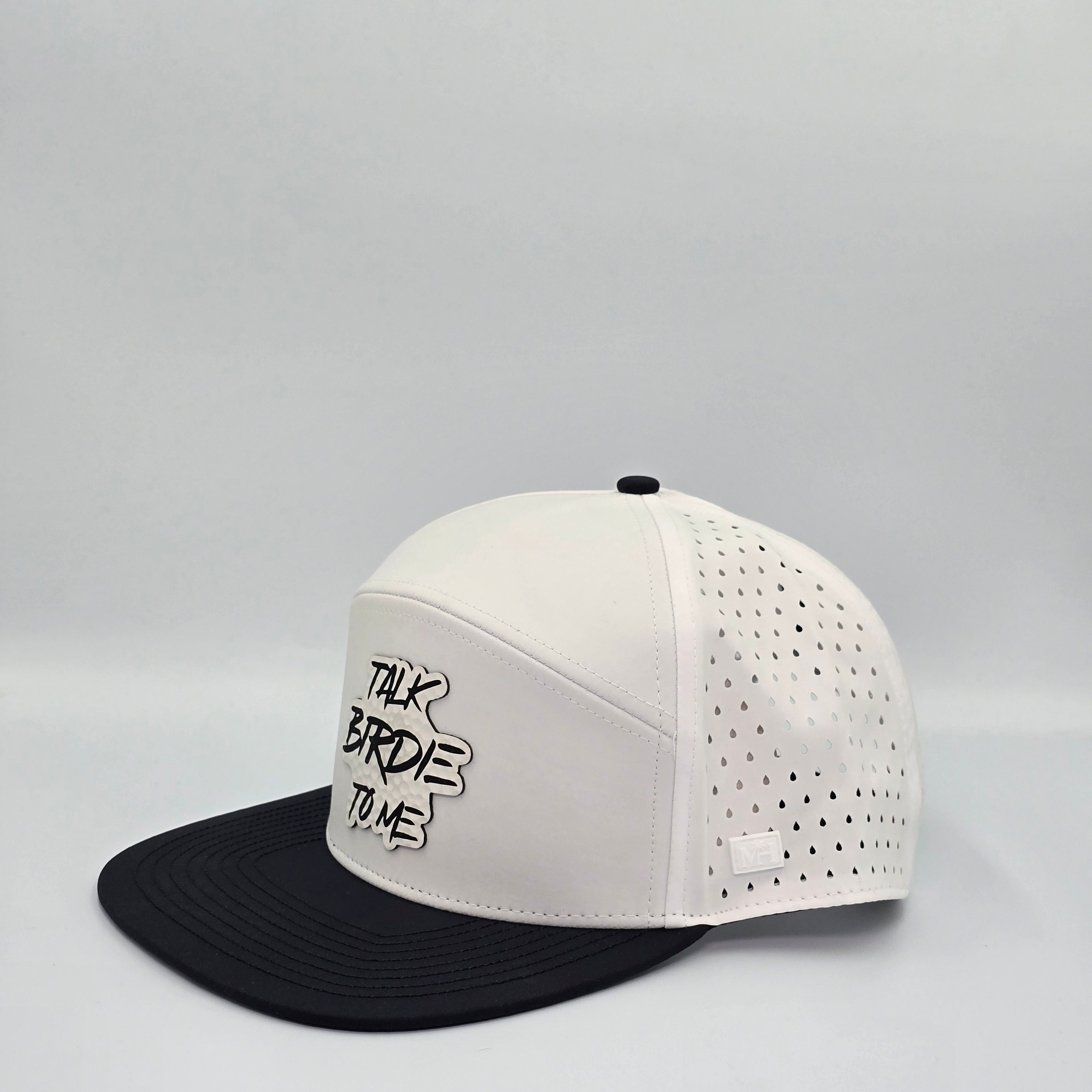 Polar Eclipse 6 Panel Talk Birdie To Me